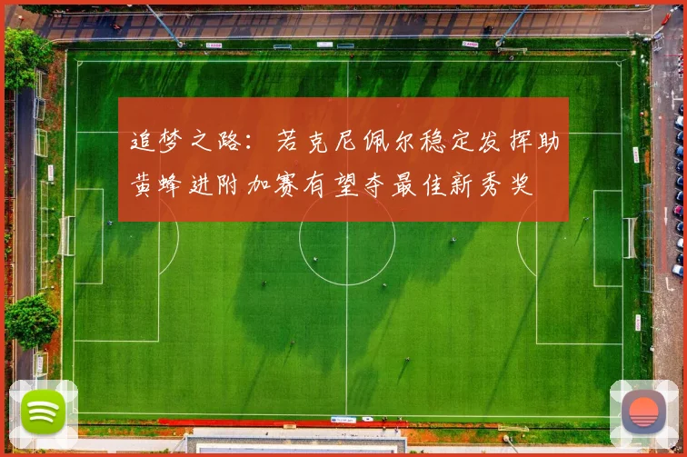 追梦之路：若克尼佩尔稳定发挥助黄蜂进附加赛有望夺最佳新秀奖
