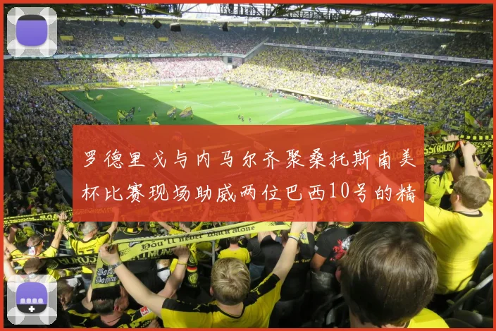 罗德里戈与内马尔齐聚桑托斯南美杯比赛现场助威两位巴西10号的精彩时刻
